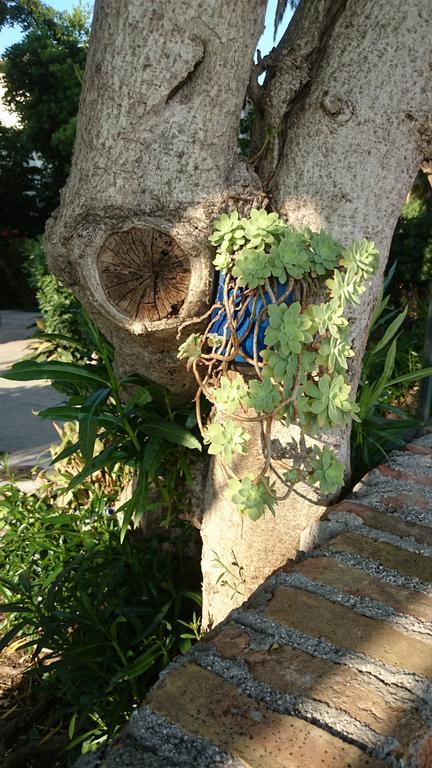 House Grabic 호텔 티바트 외부 사진